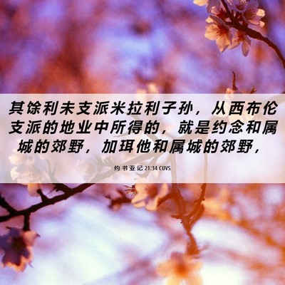 Picture 06 - 约 书 亚 记 21:34 CUVS - 其 馀 利 未 支 派 米 拉 利 子 孙 ， - Bible Verse Picture