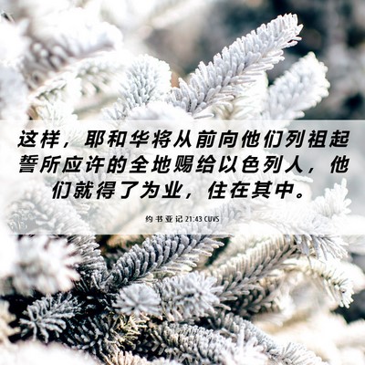 Picture 06 - 约 书 亚 记 21:43 CUVS - 这 样 ， 耶 和 华 将 从 前 向 他 们 - Bible Verse Picture