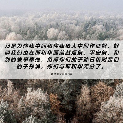 Picture 06 - 约 书 亚 记 22:27 CUVS - 乃 是 为 你 我 中 间 和 你 我 後 人 - Bible Verse Picture