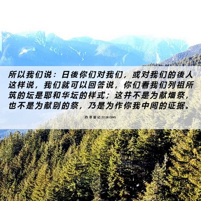 Picture 06 - 约 书 亚 记 22:28 CUVS - 所 以 我 们 说 ： 日 後 你 们 对 我 - Bible Verse Picture