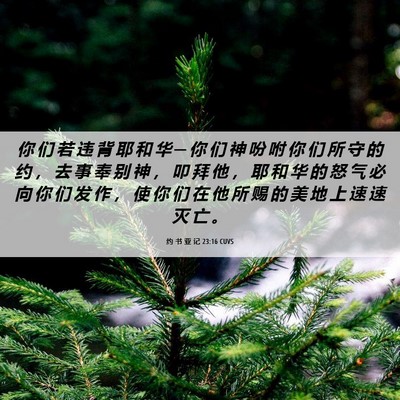 Picture 06 - 约 书 亚 记 23:16 CUVS - 你 们 若 违 背 耶 和 华 ─ 你 们 神 - Bible Verse Picture