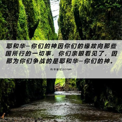 Picture 06 - 约 书 亚 记 23:3 CUVS - 耶 和 华 ─ 你 们 的 神 因 你 们 的 - Bible Verse Picture
