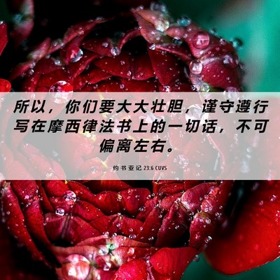Picture 06 - 约 书 亚 记 23:6 CUVS - 所 以 ， 你 们 要 大 大 壮 胆 ， 谨 - Bible Verse Picture