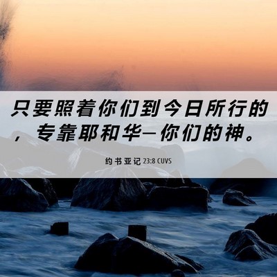 Picture 06 - 约 书 亚 记 23:8 CUVS - 只 要 照 着 你 们 到 今 日 所 行 的 - Bible Verse Picture