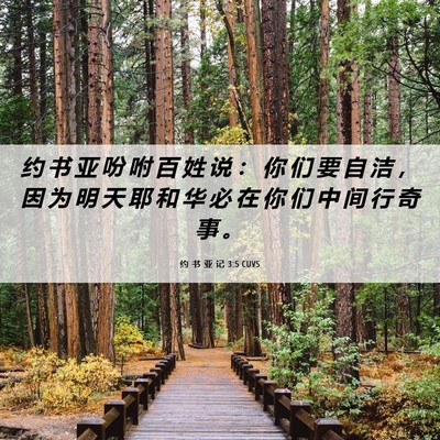 Picture 06 - 约 书 亚 记 3:5 CUVS - 约 书 亚 吩 咐 百 姓 说 ： 你 们 要 - Bible Verse Picture