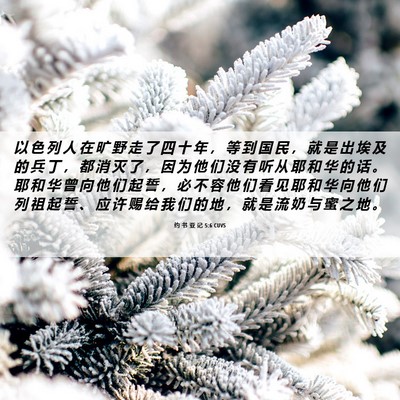 Picture 06 - 约 书 亚 记 5:6 CUVS - 以 色 列 人 在 旷 野 走 了 四 十 年 - Bible Verse Picture