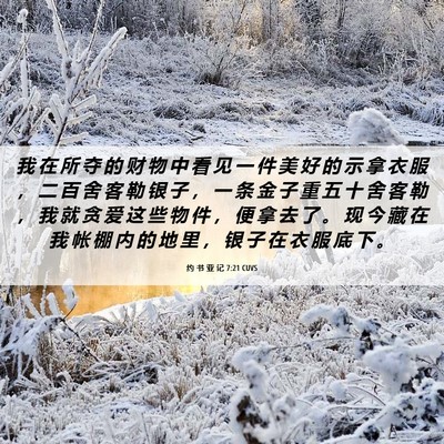 Picture 06 - 约 书 亚 记 7:21 CUVS - 我 在 所 夺 的 财 物 中 看 见 一 件 - Bible Verse Picture