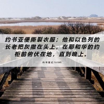 Picture 06 - 约 书 亚 记 7:6 CUVS - 约 书 亚 便 撕 裂 衣 服 ； 他 和 以 - Bible Verse Picture