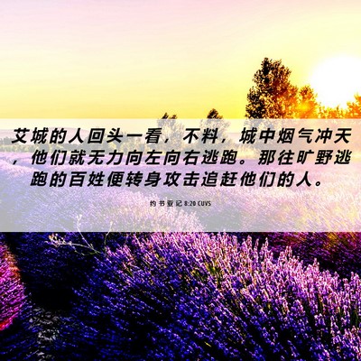 Picture 06 - 约 书 亚 记 8:20 CUVS - 艾 城 的 人 回 头 一 看 ， 不 料 ， - Bible Verse Picture