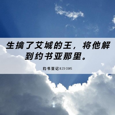 Picture 06 - 约 书 亚 记 8:23 CUVS - 生 擒 了 艾 城 的 王 ， 将 他 解 到 - Bible Verse Picture
