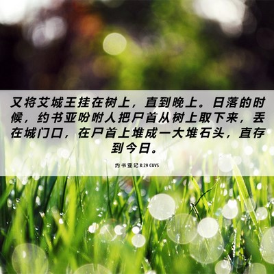 Picture 06 - 约 书 亚 记 8:29 CUVS - 又 将 艾 城 王 挂 在 树 上 ， 直 到 - Bible Verse Picture