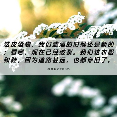 Picture 06 - 约 书 亚 记 9:13 CUVS - 这 皮 酒 袋 ， 我 们 盛 酒 的 时 候 - Bible Verse Picture