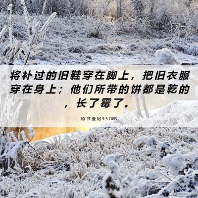 Picture 06 - 约 书 亚 记 9:5 CUVS - 将 补 过 的 旧 鞋 穿 在 脚 上 ， 把 - Bible Verse Picture