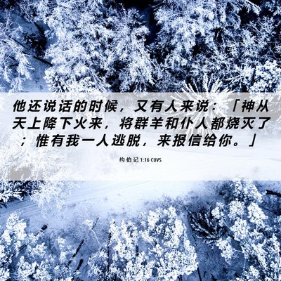 Picture 06 - 约 伯 记 1:16 CUVS - 他 还 说 话 的 时 候 ， 又 有 人 来 - Bible Verse Picture