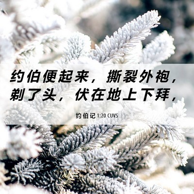 Picture 06 - 约 伯 记 1:20 CUVS - 约 伯 便 起 来 ， 撕 裂 外 袍 ， 剃 - Bible Verse Picture