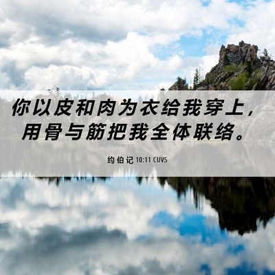 Picture 06 - 约 伯 记 10:11 CUVS - 你 以 皮 和 肉 为 衣 给 我 穿 上 ， - Bible Verse Picture