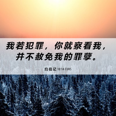 Picture 06 - 约 伯 记 10:14 CUVS - 我 若 犯 罪 ， 你 就 察 看 我 ， 并 - Bible Verse Picture