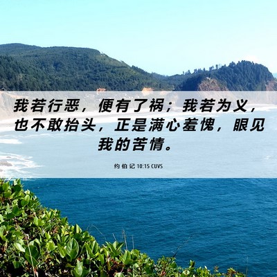 Picture 06 - 约 伯 记 10:15 CUVS - 我 若 行 恶 ， 便 有 了 祸 ； 我 若 - Bible Verse Picture