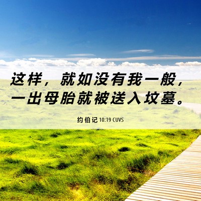 Picture 06 - 约 伯 记 10:19 CUVS - 这 样 ， 就 如 没 有 我 一 般 ， 一 - Bible Verse Picture