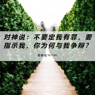 Picture 06 - 约 伯 记 10:2 CUVS - 对 神 说 ： 不 要 定 我 有 罪 ， 要 - Bible Verse Picture