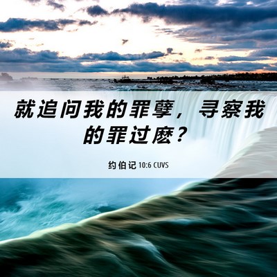 Picture 06 - 约 伯 记 10:6 CUVS - 就 追 问 我 的 罪 孽 ， 寻 察 我 的 - Bible Verse Picture