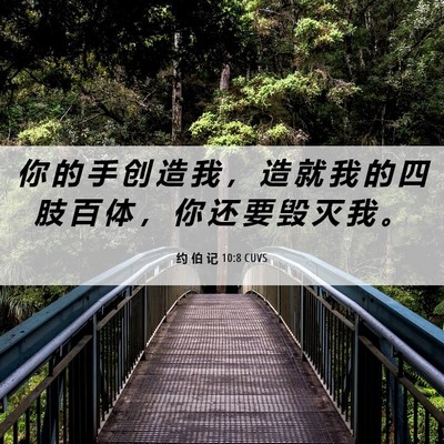 Picture 06 - 约 伯 记 10:8 CUVS - 你 的 手 创 造 我 ， 造 就 我 的 四 - Bible Verse Picture