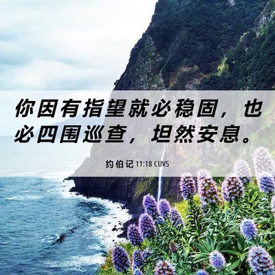 Picture 06 - 约 伯 记 11:18 CUVS - 你 因 有 指 望 就 必 稳 固 ， 也 必 - Bible Verse Picture