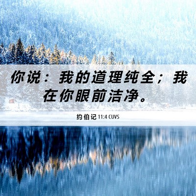 Picture 06 - 约 伯 记 11:4 CUVS - 你 说 ： 我 的 道 理 纯 全 ； 我 在 - Bible Verse Picture
