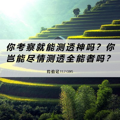 Picture 06 - 约 伯 记 11:7 CUVS - 你 考 察 就 能 测 透 神 吗 ？ 你 岂 - Bible Verse Picture