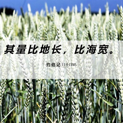 Picture 06 - 约 伯 记 11:9 CUVS - 其 量 比 地 长 ， 比 海 宽 - Bible Verse Picture