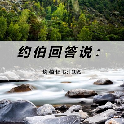 Picture 06 - 约 伯 记 12:1 CUVS - 约 伯 回 答 说 - Bible Verse Picture