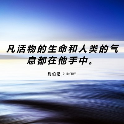 Picture 06 - 约 伯 记 12:10 CUVS - 凡 活 物 的 生 命 和 人 类 的 气 息 - Bible Verse Picture