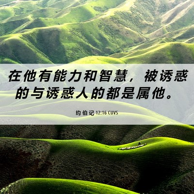 Picture 06 - 约 伯 记 12:16 CUVS - 在 他 有 能 力 和 智 慧 ， 被 诱 惑 - Bible Verse Picture