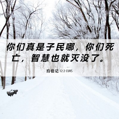 Picture 06 - 约 伯 记 12:2 CUVS - 你 们 真 是 子 民 哪 ， 你 们 死 亡 - Bible Verse Picture