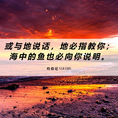 Picture 06 - 约 伯 记 12:8 CUVS - 或 与 地 说 话 ， 地 必 指 教 你 ； - Bible Verse Picture