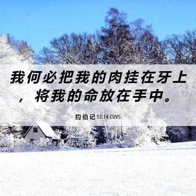 Picture 06 - 约 伯 记 13:14 CUVS - 我 何 必 把 我 的 肉 挂 在 牙 上 ， - Bible Verse Picture