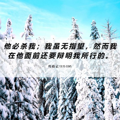 Picture 06 - 约 伯 记 13:15 CUVS - 他 必 杀 我 ； 我 虽 无 指 望 ， 然 - Bible Verse Picture