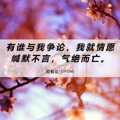 Picture 06 - 约 伯 记 13:19 CUVS - 有 谁 与 我 争 论 ， 我 就 情 愿 缄 - Bible Verse Picture