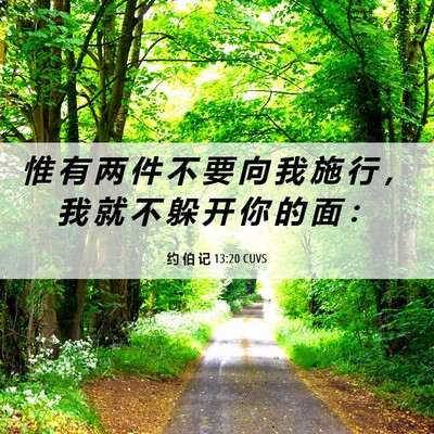 Picture 06 - 约 伯 记 13:20 CUVS - 惟 有 两 件 不 要 向 我 施 行 ， 我 - Bible Verse Picture