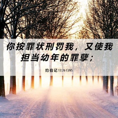 Picture 06 - 约 伯 记 13:26 CUVS - 你 按 罪 状 刑 罚 我 ， 又 使 我 担 - Bible Verse Picture