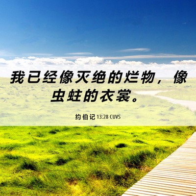 Picture 06 - 约 伯 记 13:28 CUVS - 我 已 经 像 灭 绝 的 烂 物 ， 像 虫 - Bible Verse Picture