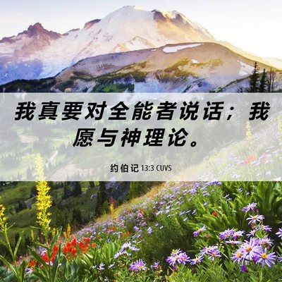 Picture 06 - 约 伯 记 13:3 CUVS - 我 真 要 对 全 能 者 说 话 ； 我 愿 - Bible Verse Picture