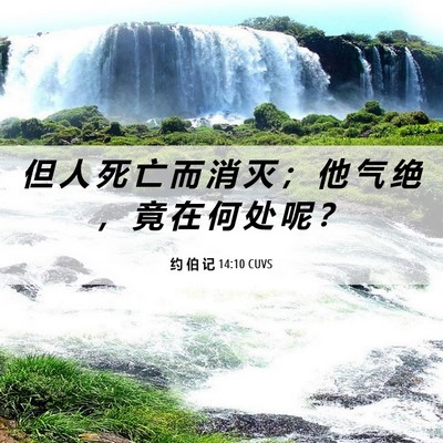 Picture 06 - 约 伯 记 14:10 CUVS - 但 人 死 亡 而 消 灭 ； 他 气 绝 ， - Bible Verse Picture