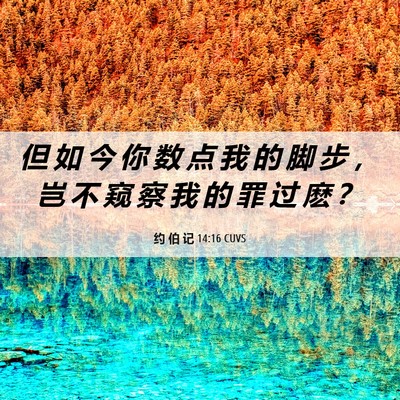 Picture 06 - 约 伯 记 14:16 CUVS - 但 如 今 你 数 点 我 的 脚 步 ， 岂 - Bible Verse Picture