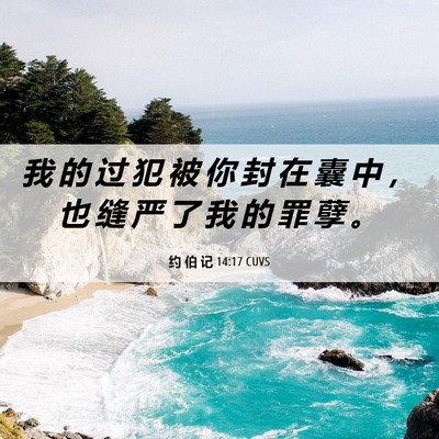 Picture 06 - 约 伯 记 14:17 CUVS - 我 的 过 犯 被 你 封 在 囊 中 ， 也 - Bible Verse Picture