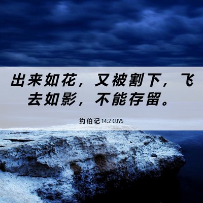 Picture 06 - 约 伯 记 14:2 CUVS - 出 来 如 花 ， 又 被 割 下 ， 飞 去 - Bible Verse Picture