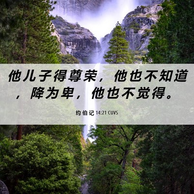 Picture 06 - 约 伯 记 14:21 CUVS - 他 儿 子 得 尊 荣 ， 他 也 不 知 道 - Bible Verse Picture