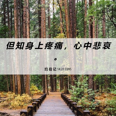 Picture 06 - 约 伯 记 14:22 CUVS - 但 知 身 上 疼 痛 ， 心 中 悲 哀 - Bible Verse Picture