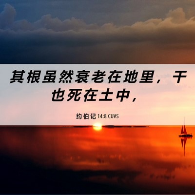 Picture 06 - 约 伯 记 14:8 CUVS - 其 根 虽 然 衰 老 在 地 里 ， 干 也 - Bible Verse Picture