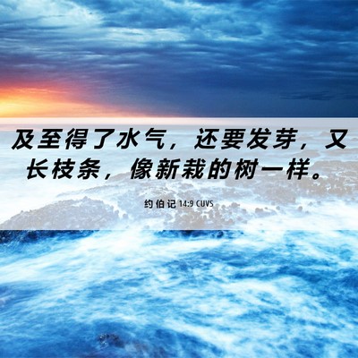 Picture 06 - 约 伯 记 14:9 CUVS - 及 至 得 了 水 气 ， 还 要 发 芽 ， - Bible Verse Picture